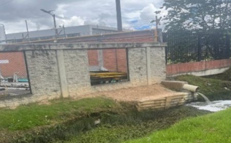 Cajicá, Chía y Tocancipá: los municipios con más quejas ambientales en Sabana Centro en lo que va de 2024