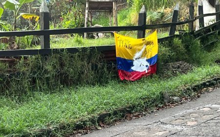 ¿Hay presencia de guerrilla en el municipio de Albán, Cundinamarca?