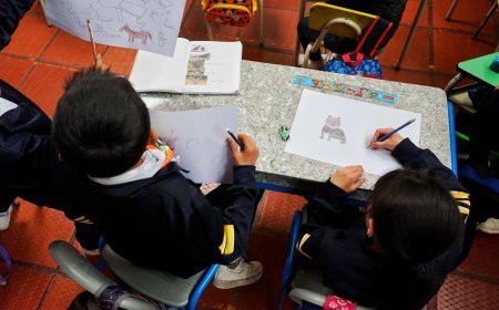 Cundinamarca abre el segundo concurso infantil de dibujo “En el Mundo Animal”