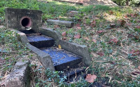 CAR refuerza control y vigilancia a conjuntos residenciales aledaños al humedal El Yulo, en Cundinamarca