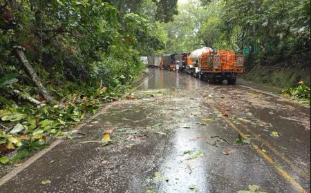 ANI da pasos clave para abrir la licitación del corredor Villeta-Guaduas-El Korán