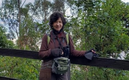 Reconocida escritora perdió la vida por inmersión en Honda, Tolima