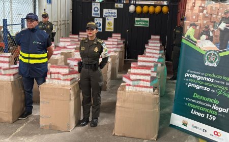 Más de 36.000 cajetillas de cigarrillos fueron aprehendidas por la DIAN y la POLFA en Piedecuesta, Santander