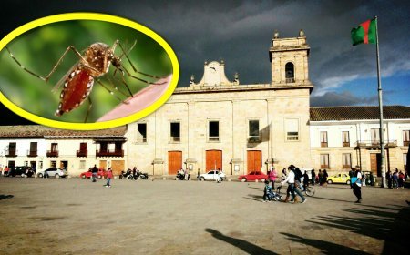 Facatativá no está en alerta por fiebre amarilla, pero se mantiene vacunación preventiva