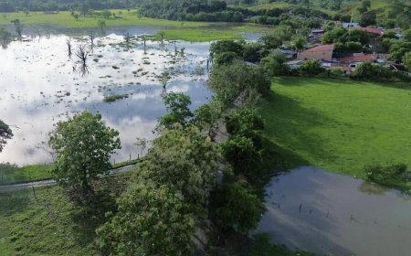 Alerta en zonas ribereñas de Cundinamarca por desbordamiento der fuentes hídricas.