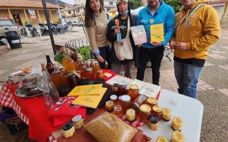 Cundinamarca celebra el zumbido que alimenta al mundo en el Día Mundial de las Abejas