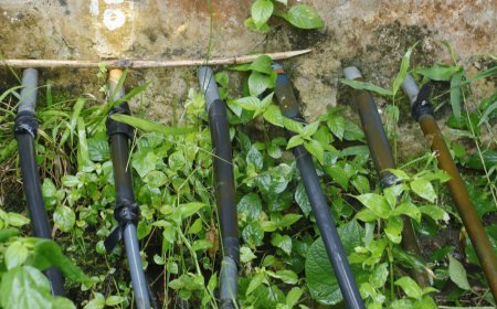 CAR regional Tequendama suspendió captación ilegal de agua en un nacedero de Tena, Cundinamarca