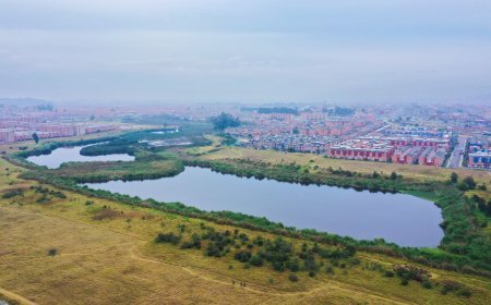 “Definir lineamientos ambientales en la Sabana exige entender que no todos los municipios son iguales y que este ejercicio se hace desde el territorio y no desde el escritorio”: Director de la CAR
