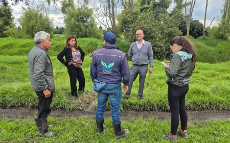 CAR reporta avances y seguimiento a reciente medida impuesta por afectaciones en el humedal Gualí, en Funza