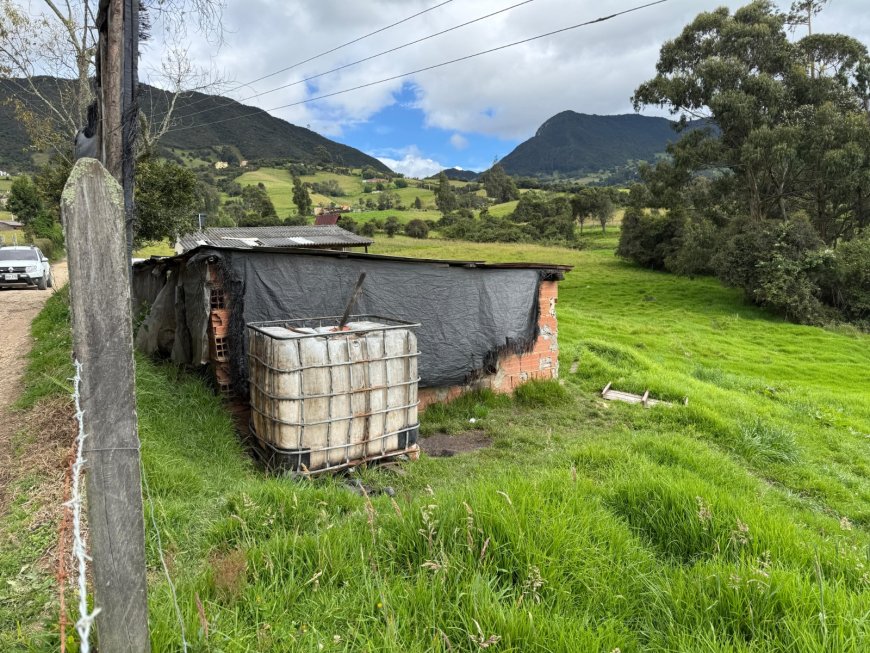 CAR suspende actividades porcícolas por ocupación de cauce en Tabio, Cundinamarca