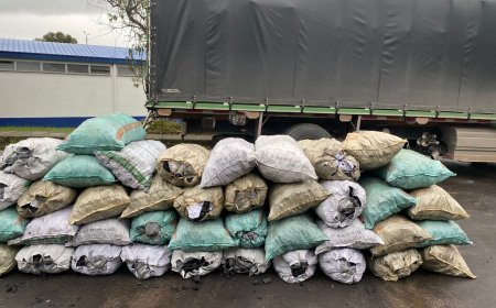 Autoridades decomisan 69 bultos de carbón vegetal sin salvoconducto en operativo vial en Briceño, Cundinamarca