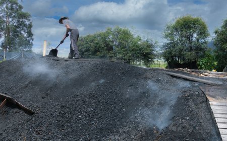 CAR y Fuerza Pública allanan predio en las goteras de Bogotá por quemas a cielo abierto para producción ilegal de carbón vegetal