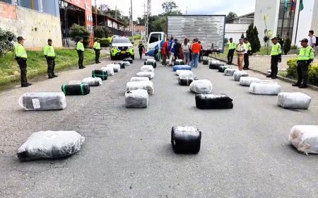 Incautada tonelada y media de marihuana en Chinauta.