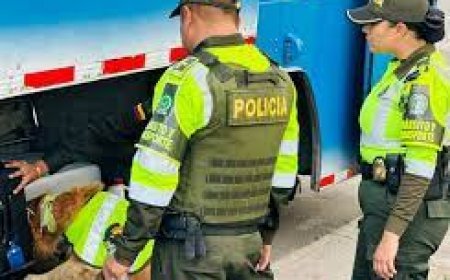 Balance operativo de la policía en el departamento de Cundinamarca.