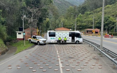 Continúa la incautación de estupefacientes en la vía al llano.