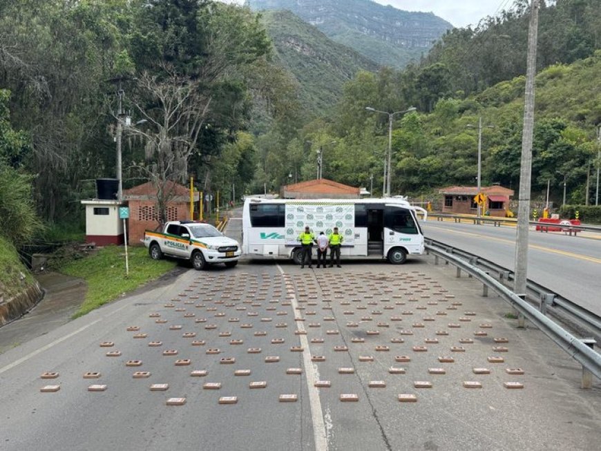 Continúa la incautación de estupefacientes en la vía al llano.
