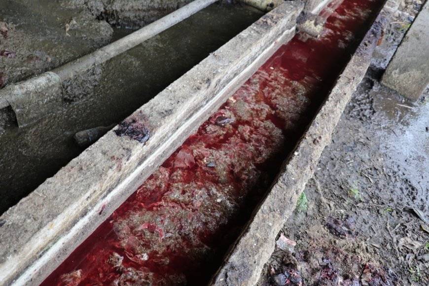 Autoridades detienen vertimientos ilegales sobre el río Bogotá de un matadero en Mosquera, Cundinamarca