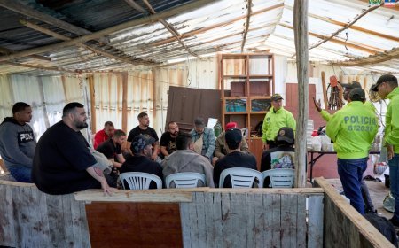 Descubren evento internacional de pelea clandestina de perros en una finca de La Calera, Cundinamarca.